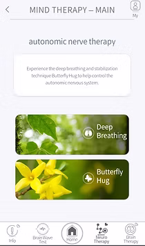 Autonomic Nerve Therapy